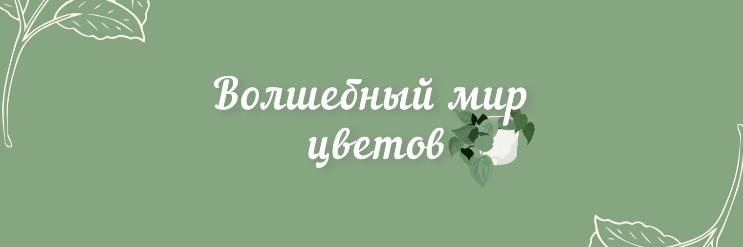 ВОЛШЕБНЫЙ МИР ЦВЕТОВ