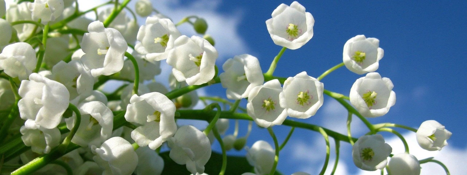 Самоцветы от Анастасии Ландыш