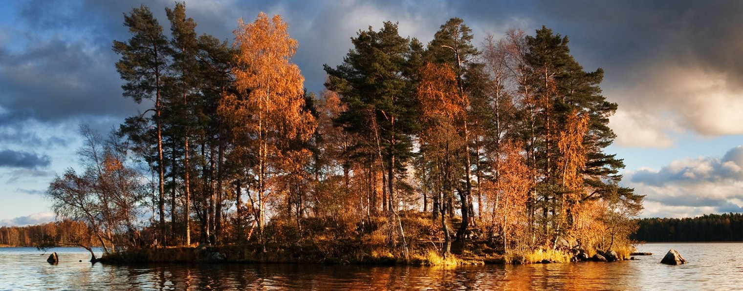 Путешествие по земному шару