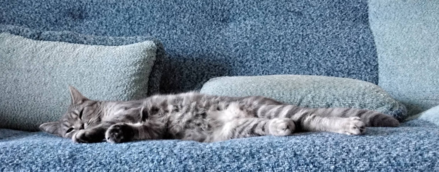 Семён Коковкин