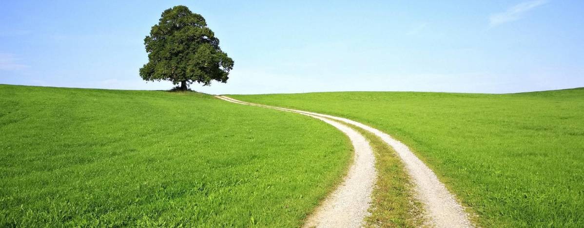 Илья Подгорный.