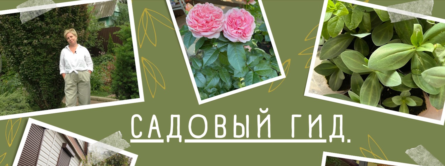 Садовый Гид Лариса Зарубина