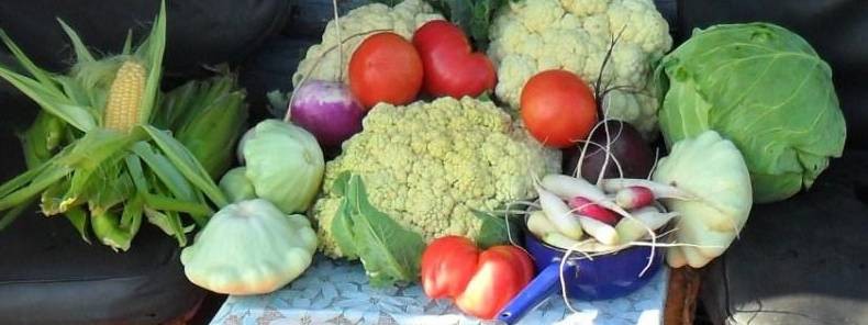 Вкусный Огород