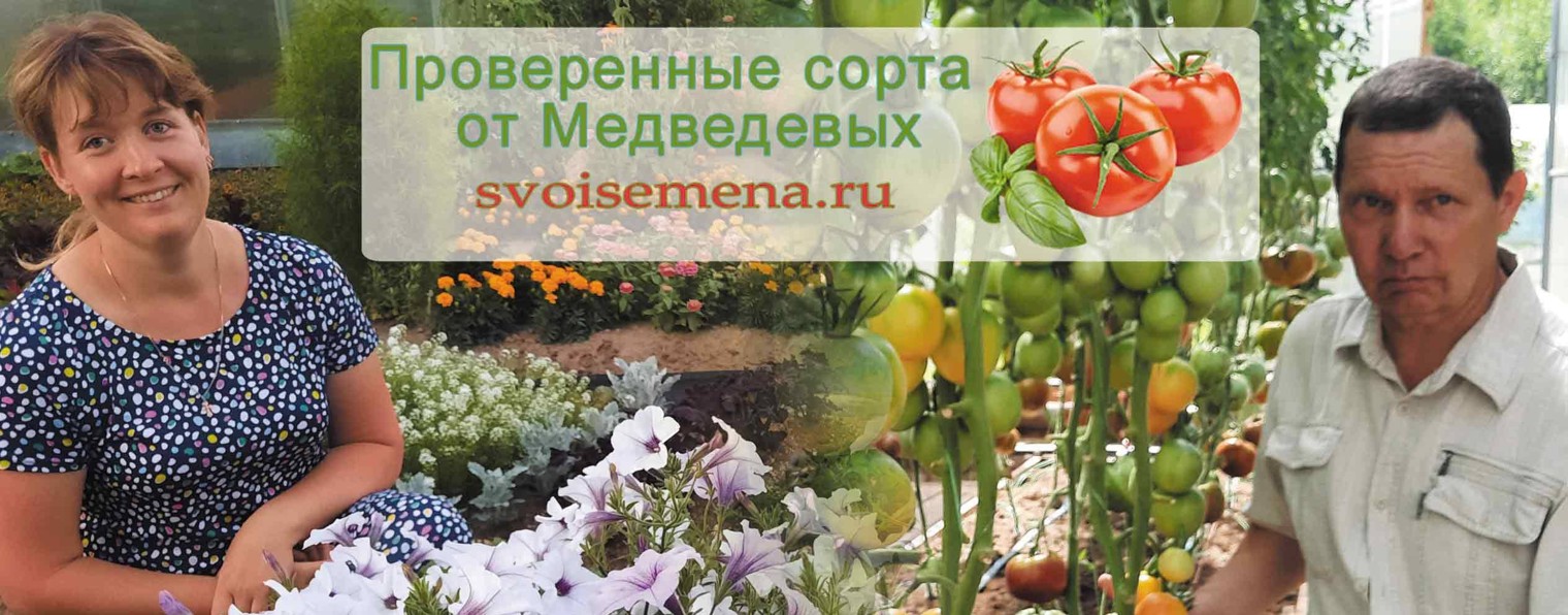 Огород - сад Медведевых