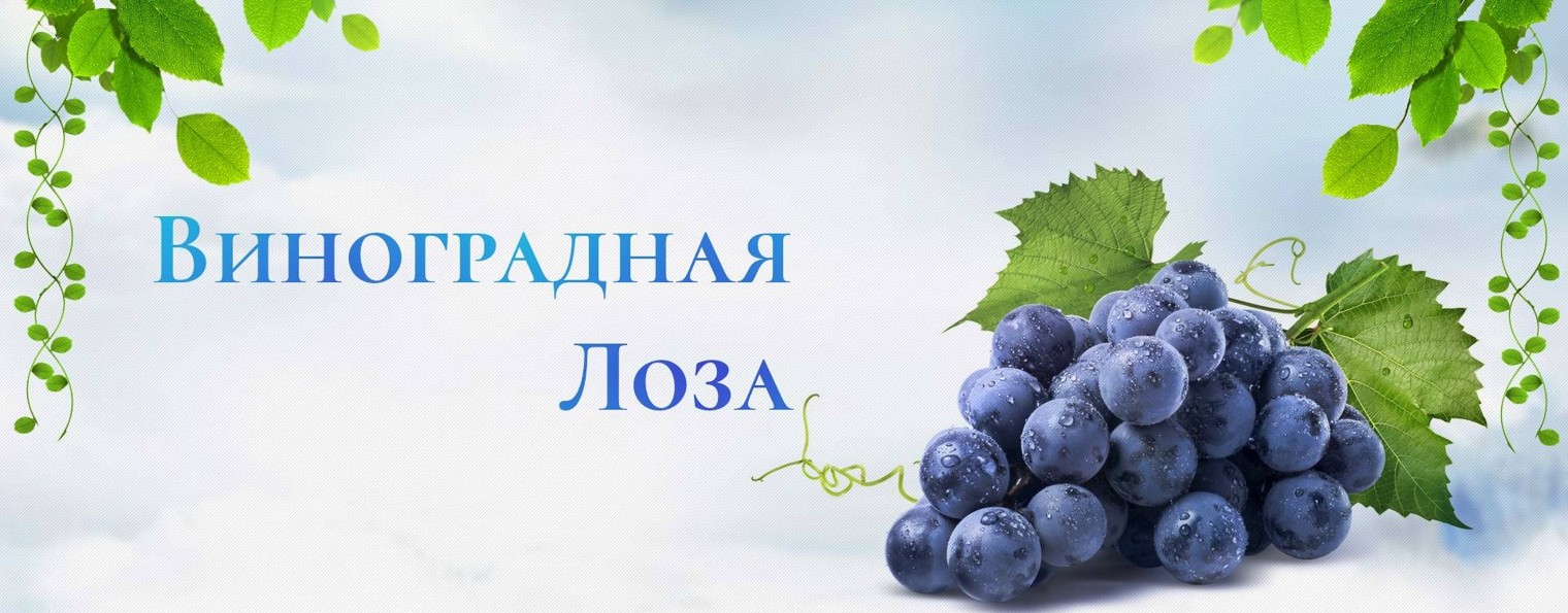 Виноградная лоза