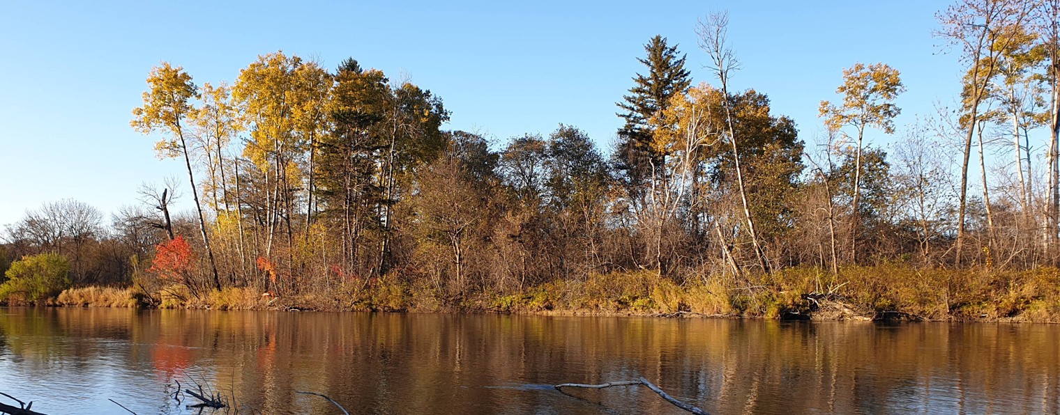 Немосфильм