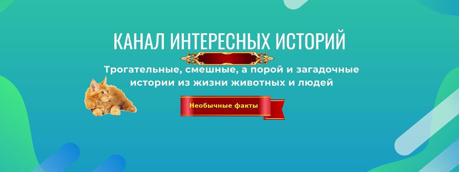 Канал интересных историй