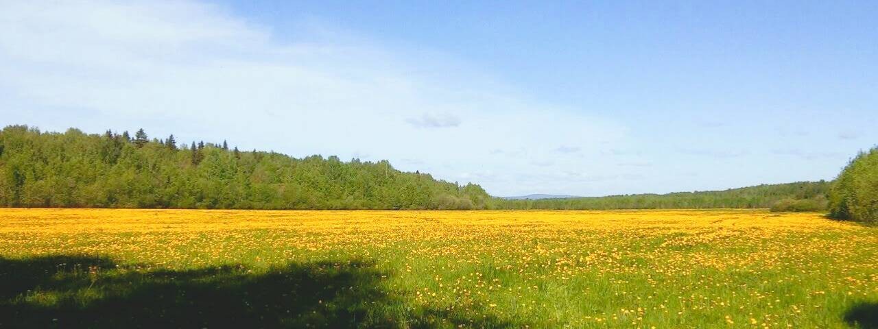 Вязание и жизнь