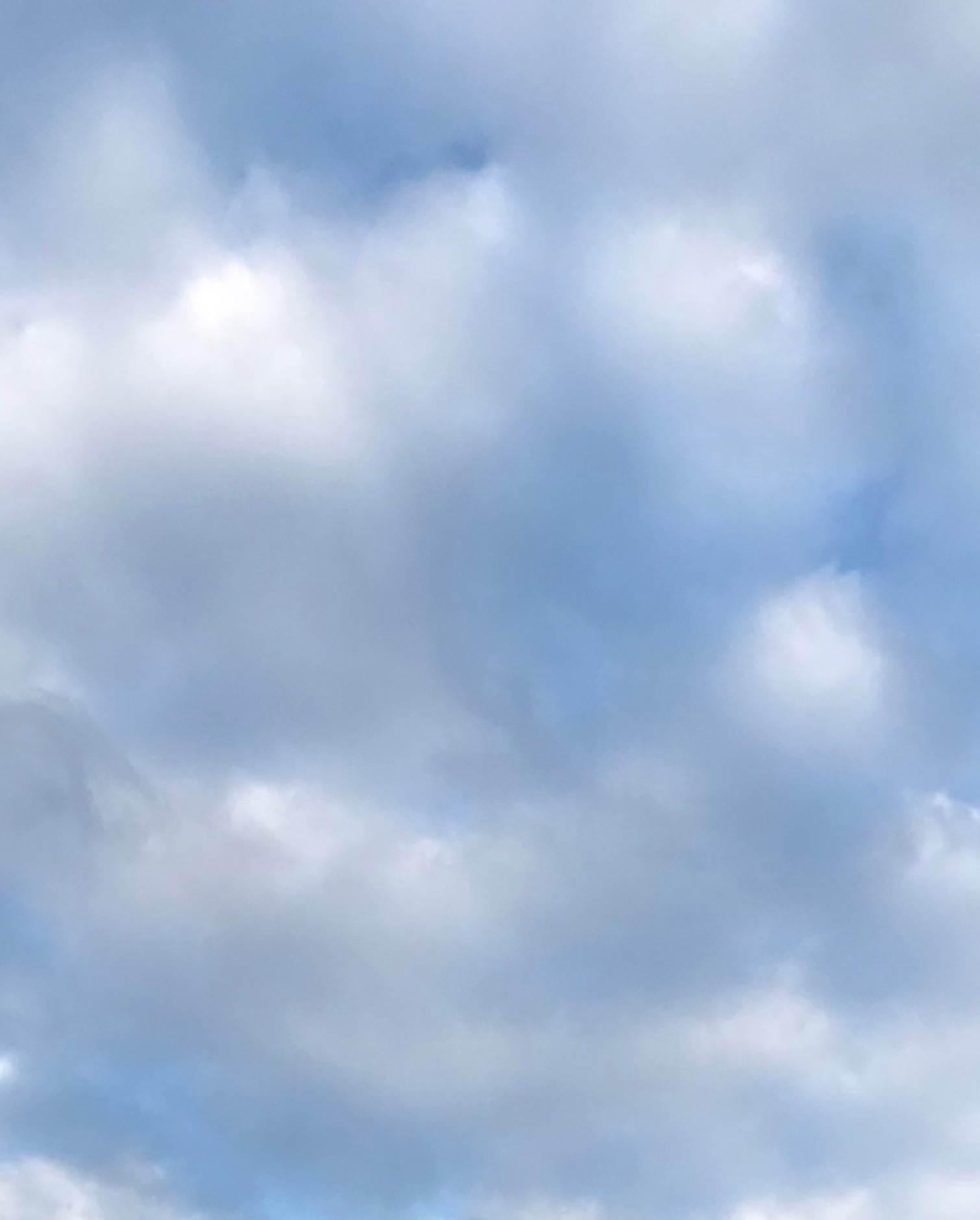 ПУТЕШЕСТВИЯ И ВСЯ НАША ЖИЗНЬ