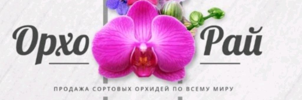 ОрхоРай