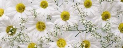 В гостях у Натальи Устьянцевой