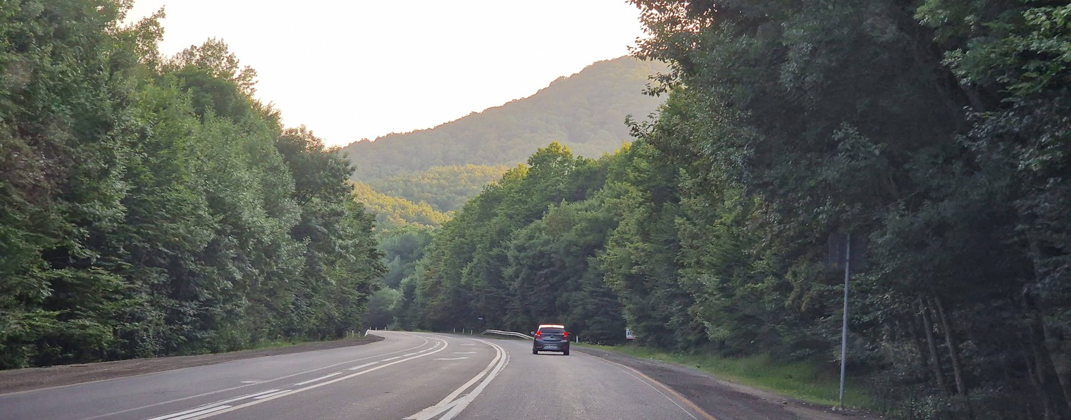 Андрей РЕСТ