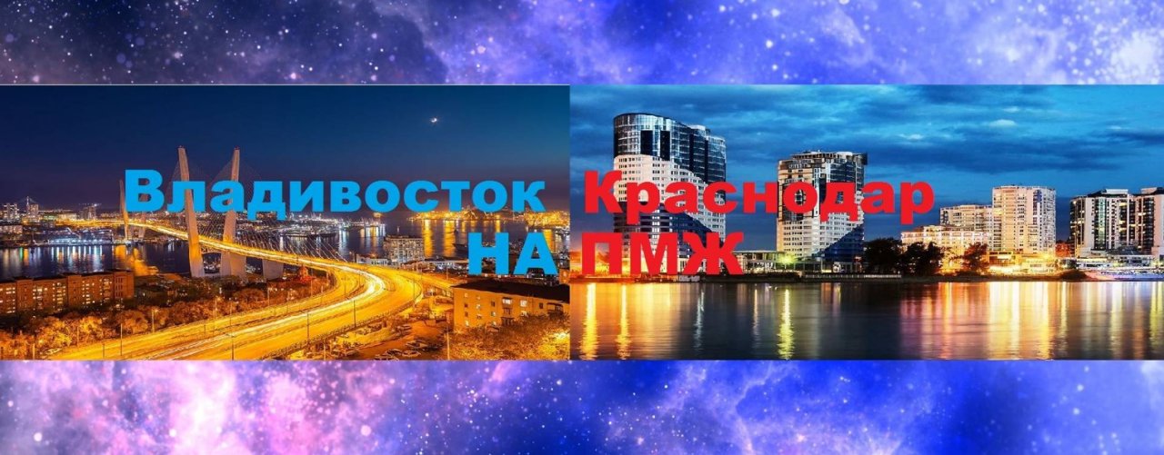 ЮЖНЫЙ КОВЧЕГ