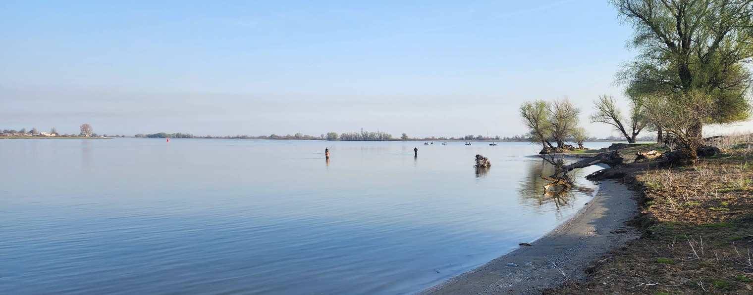 Алекс ФИШЕРМАН