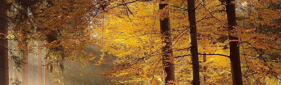 Охотхозяйство Экомир