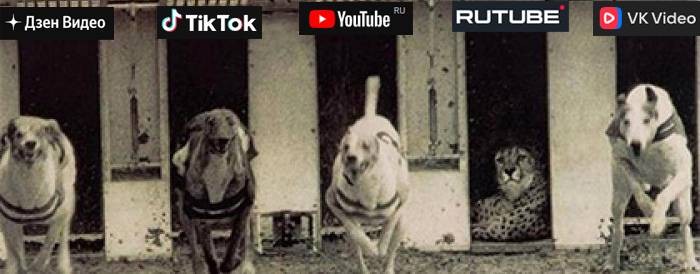 BoMjour 77727277272 SSSSSSSSSSSSSSSSX 😍