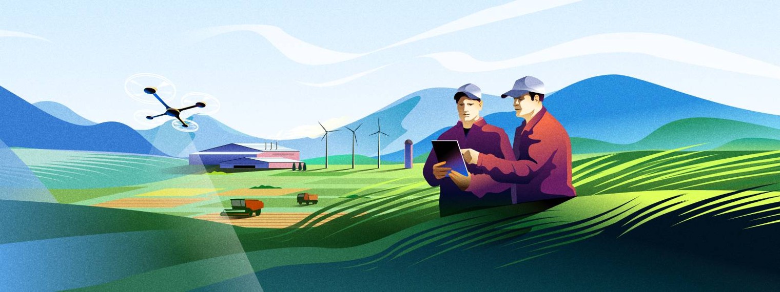 Своё Фермерство