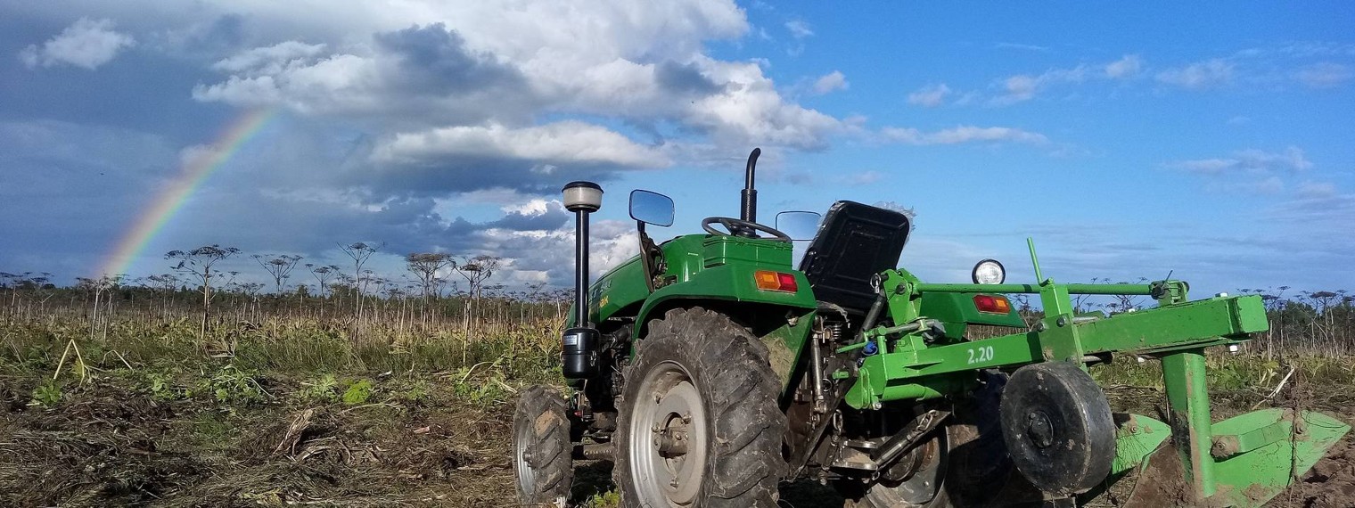 Изборские просторы