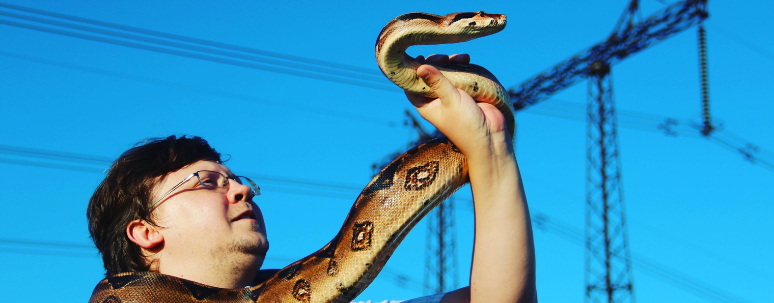 Домашний ЭКЗО ZOO