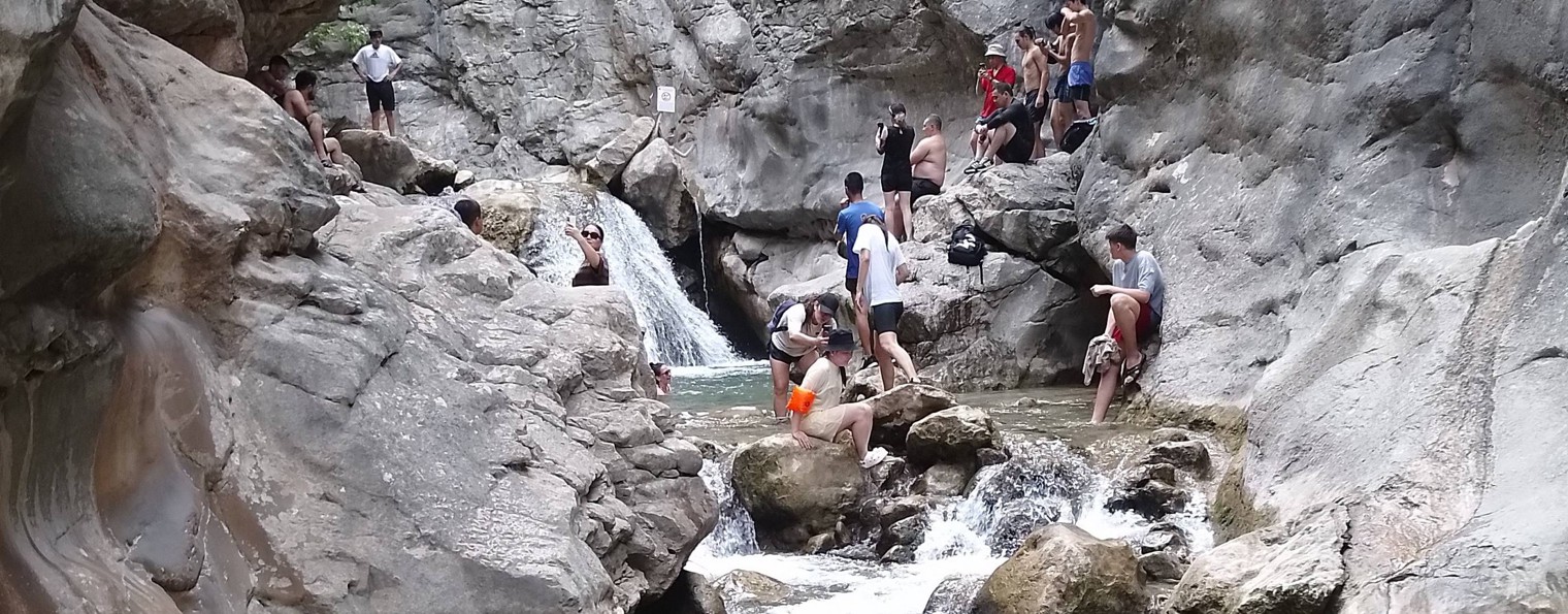 Delight- Восторг