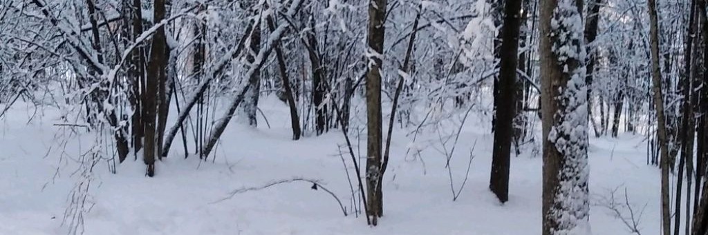 NaidyRadost_liubov_zorova