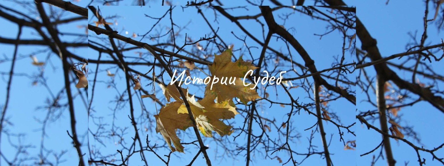 Истории Судеб