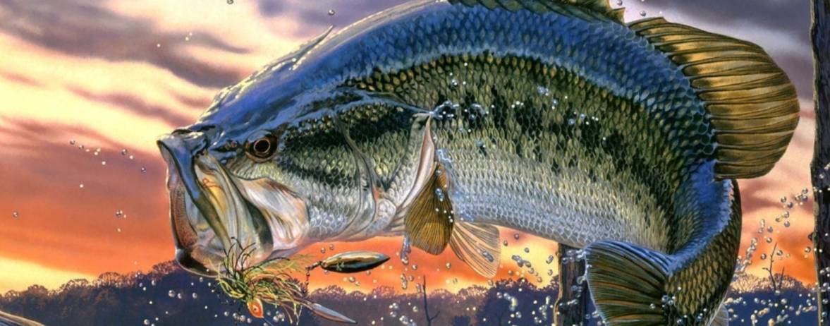 RYBALKA_SATPAEV_ZHEZKAZGAN