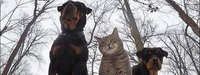 Евгений Викторович