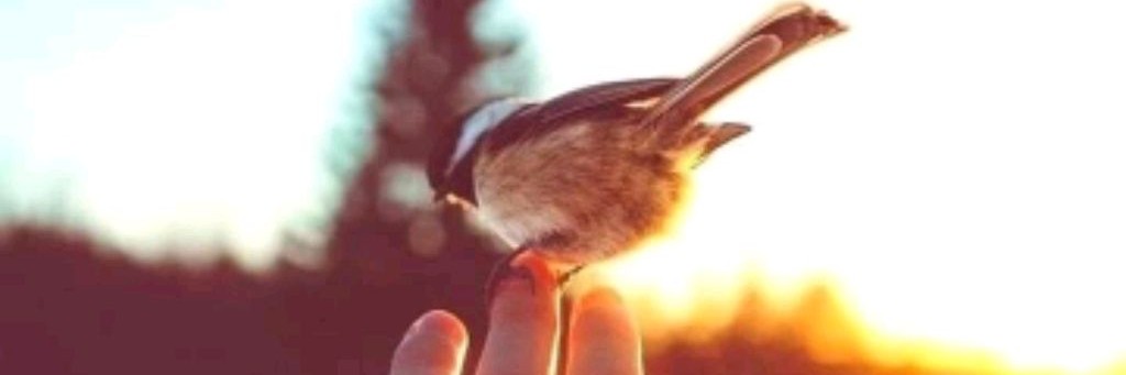 Elena Pro парфюм, косметику и мыло ✅