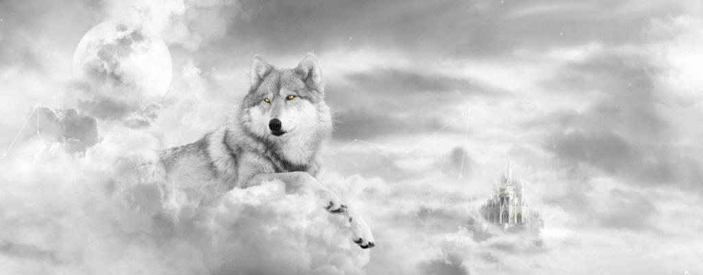 ФАРТОВЫЙ - TLT