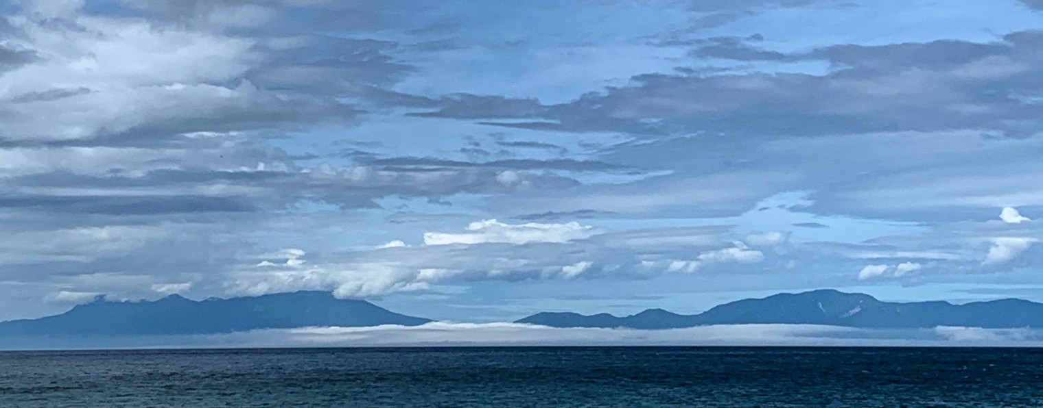 Не Ной - Don't Noah