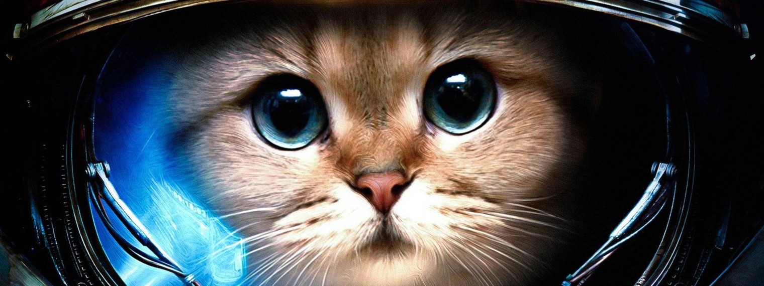 Пуффыстики