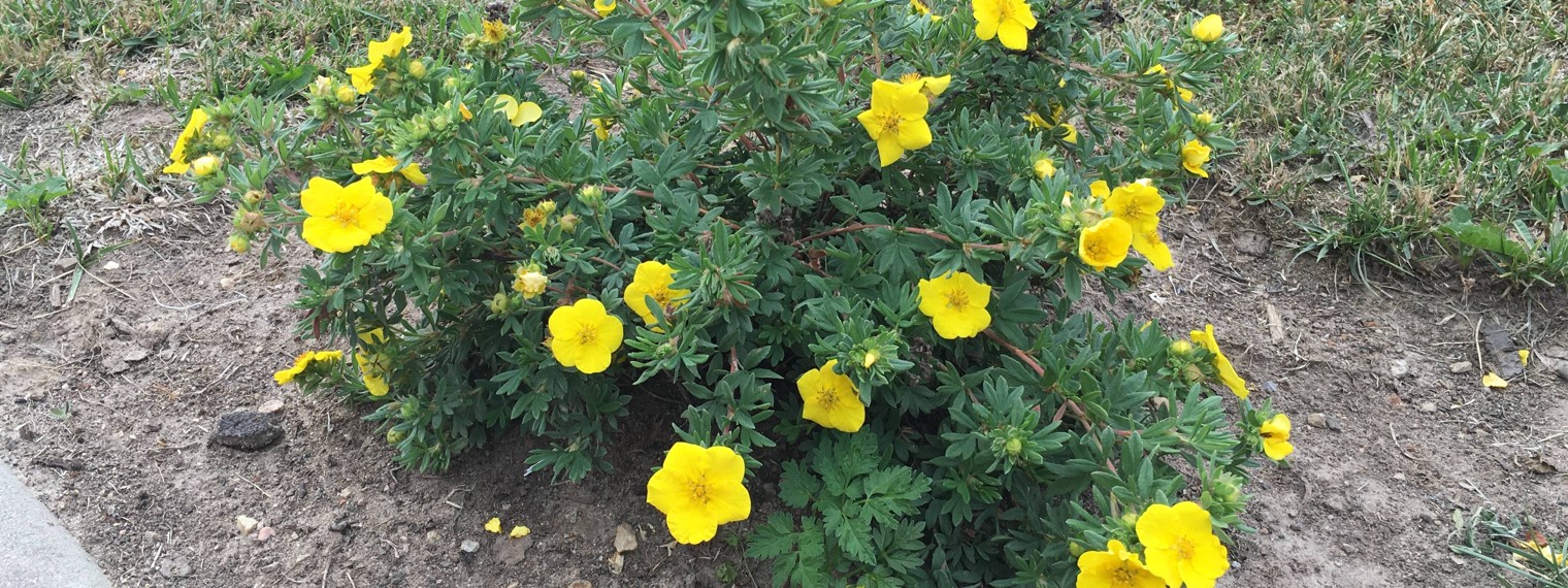 АЗАТ ГАЙНУЛИН