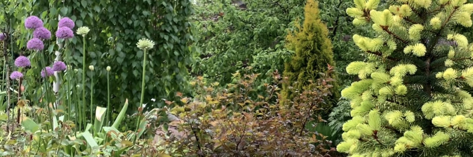 Зеленое сердце 💚 Анна Муравьева