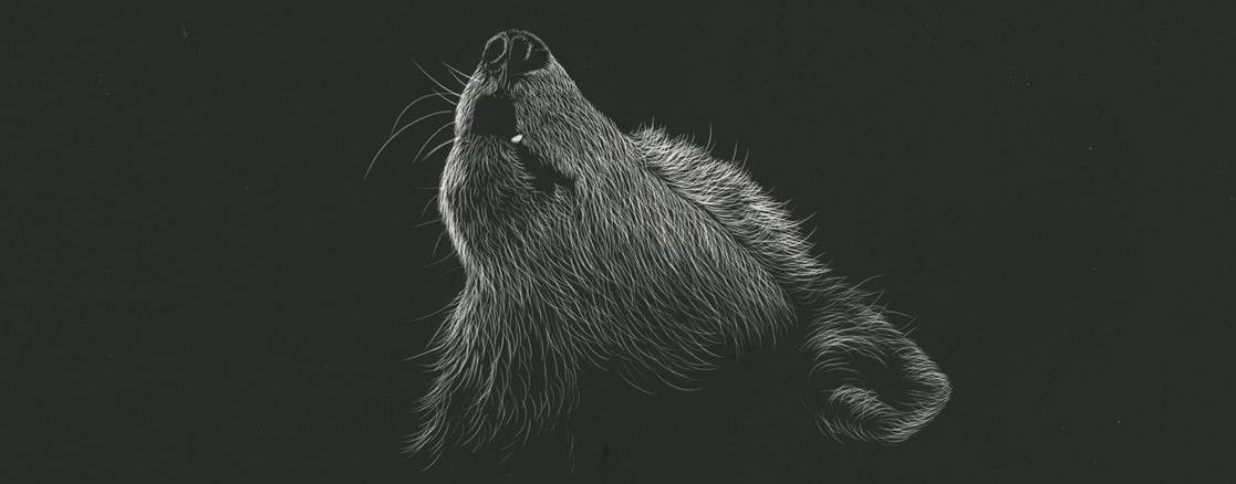 морда  wants to play