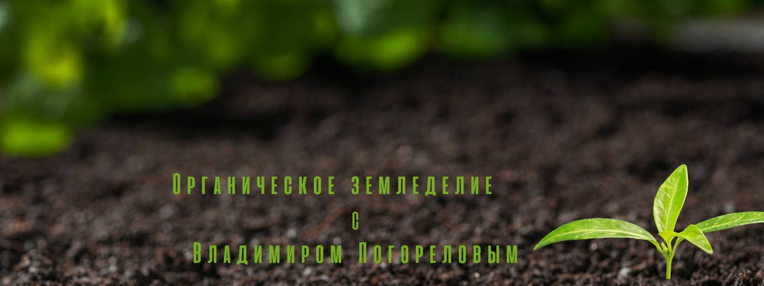 Погорелов Владимир Георгиевич