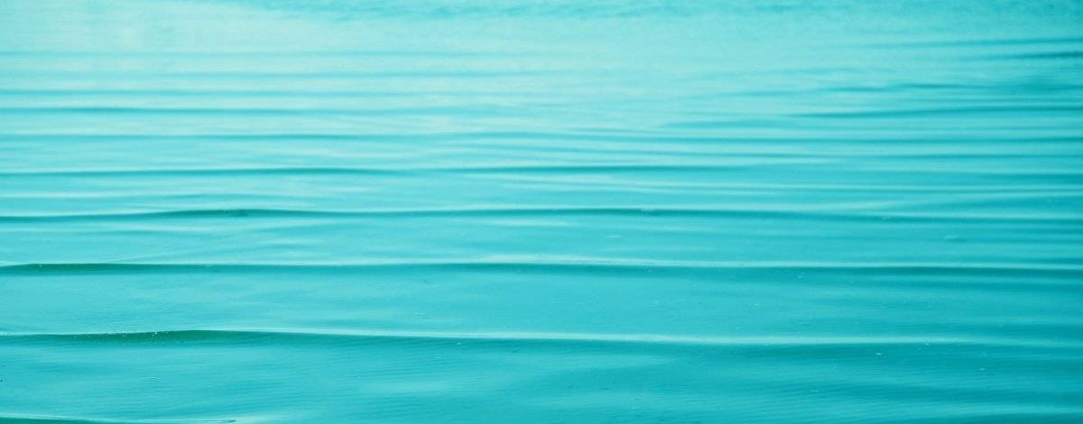 Николай Печкуров. Гитарная студия