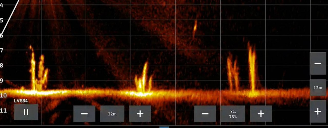 Ротатор Вектор