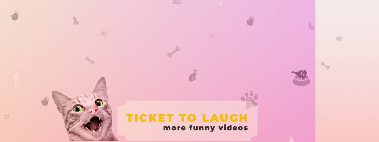 Котики. Смешные видео. Канал Ticket to Laugh
