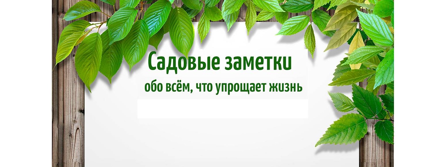 Саженцы и черенки