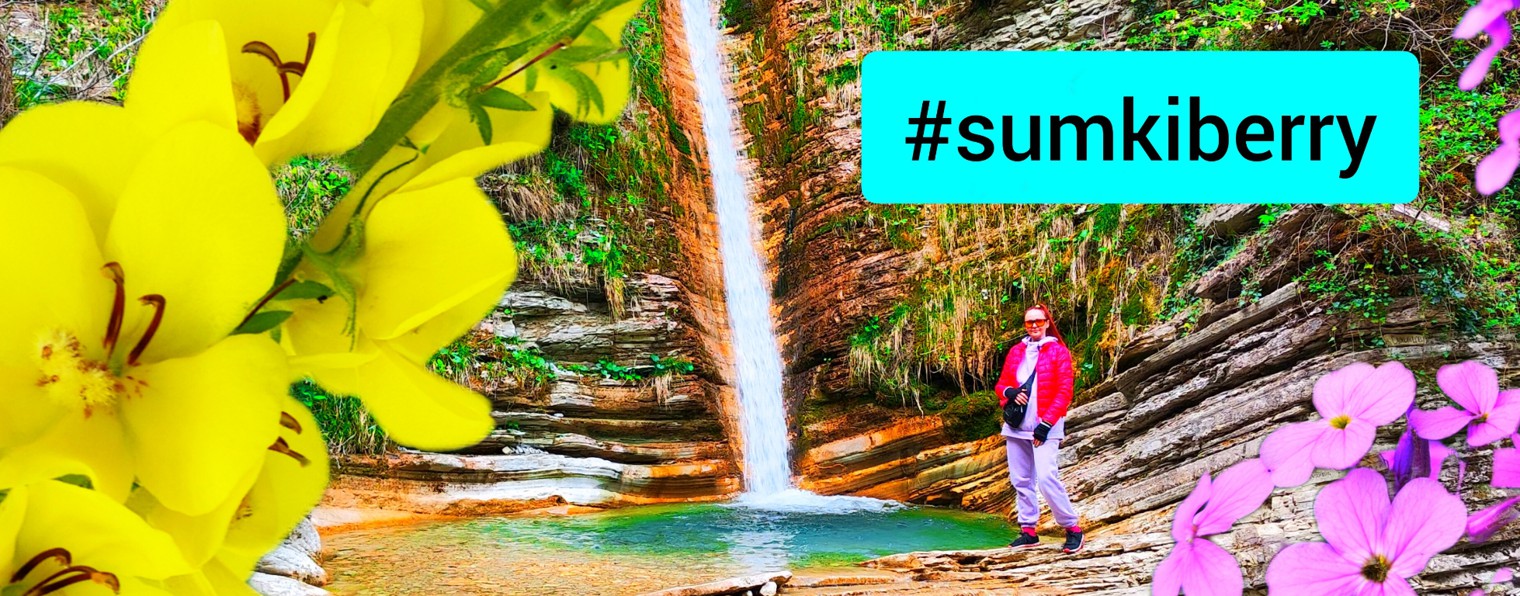 Пойдем со Мной