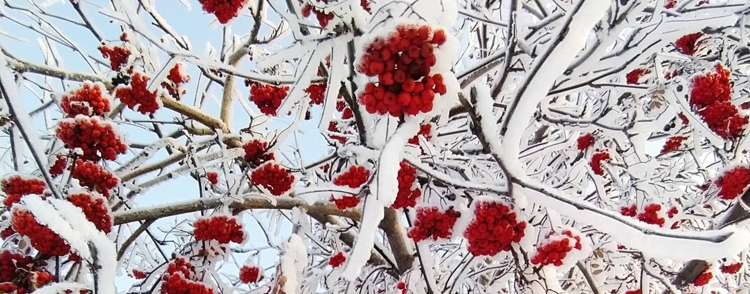 Наталья Уралова. Моя жизнь.