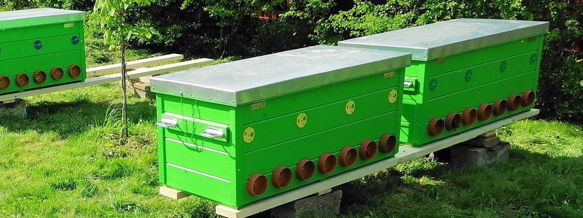 Пчеловодство в ульях лежаках Якимов