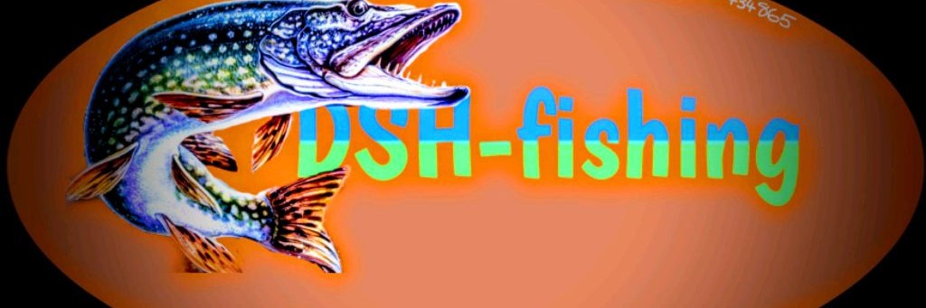 Дмитрий Шерстеникин