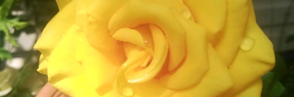 Катя Катерина