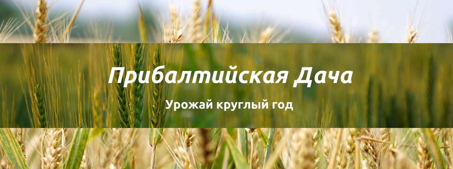 Прибалтийская Дача