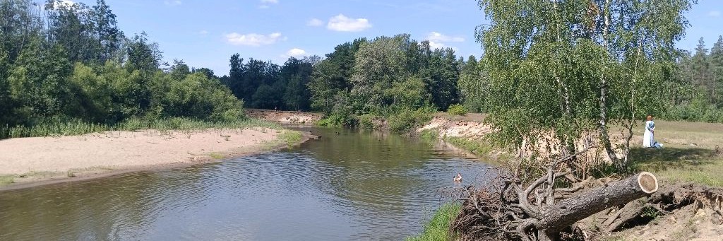 Аркадий Радий (стихи и песни)