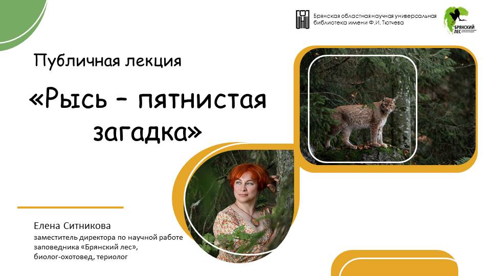 Публичная лекция «Рысь – пятнистая загадка».
