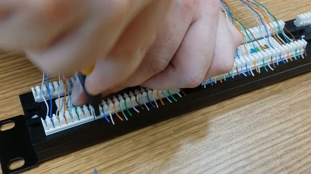 Заделка проводов в патч-панель Netko (Нетко) 24 порта