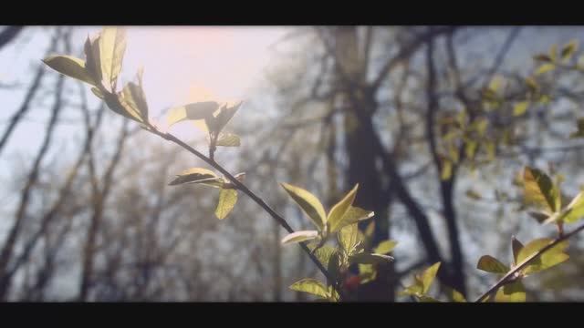 "Тальяночка". Всё для фронта! Всё для победы!